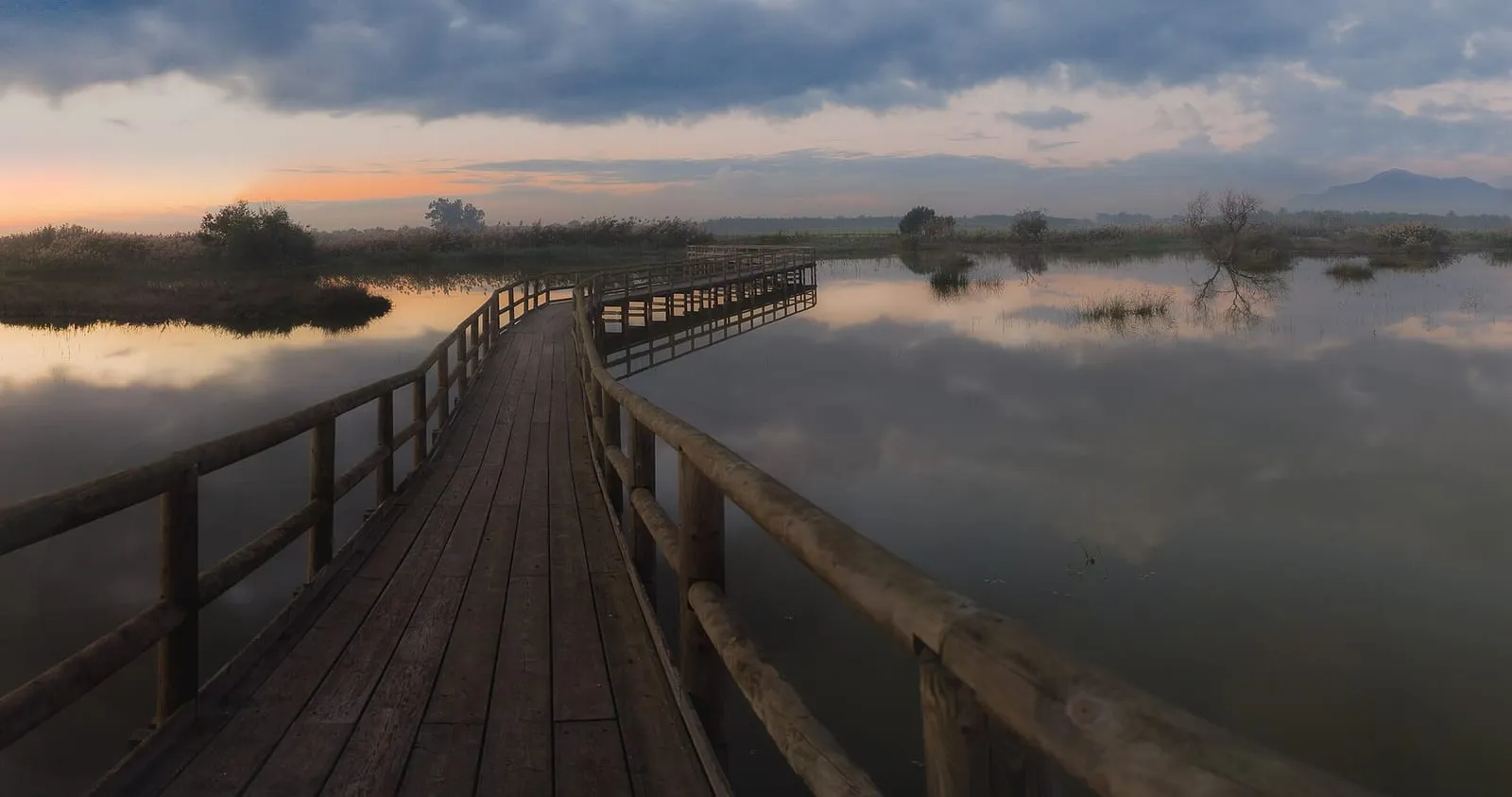 Parc naturel d'El Hondo