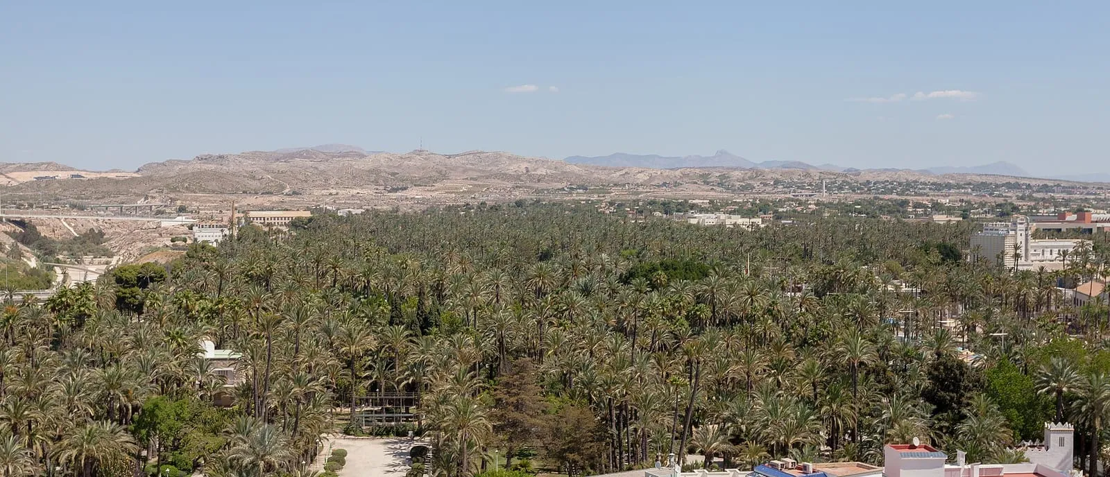 Palmeraie d'Elche