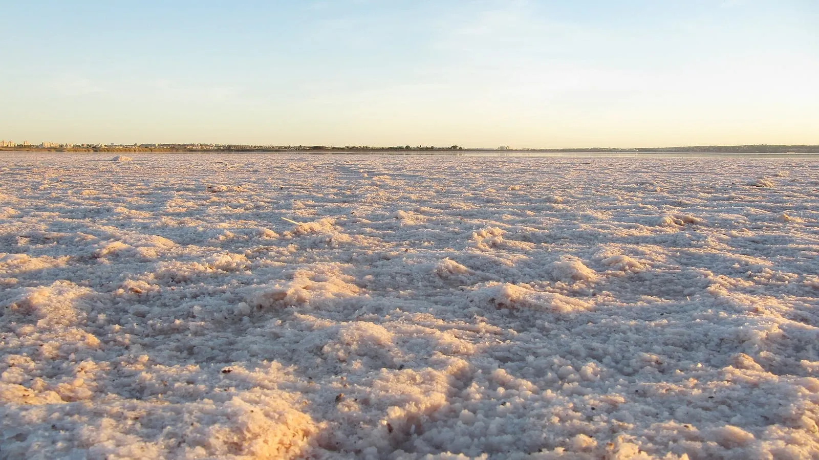 Salinas de Torrevieja